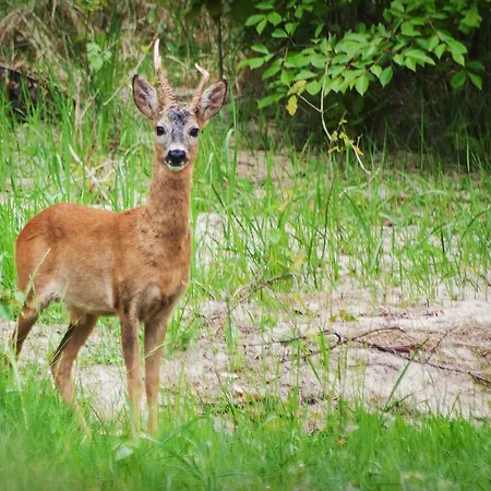 Upstalsboom Aparthotel